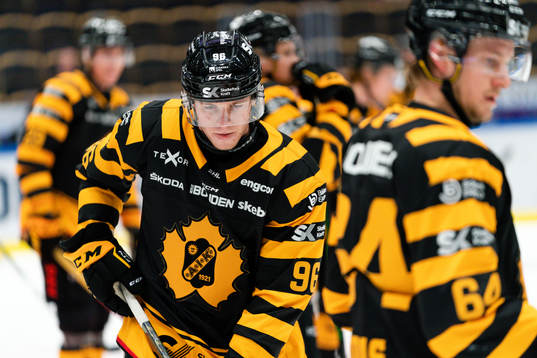 Skellefteås Rickard Hugg