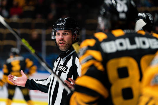 Linjedomare Emil Yletyinen
