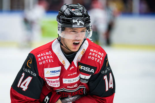 Malmö Redhawks Carl-Johan Lerby har ont