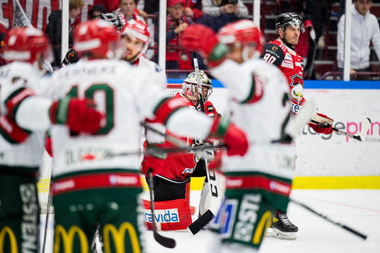 Malmö Redhawks målvakt Oscar Alsenfelt deppar