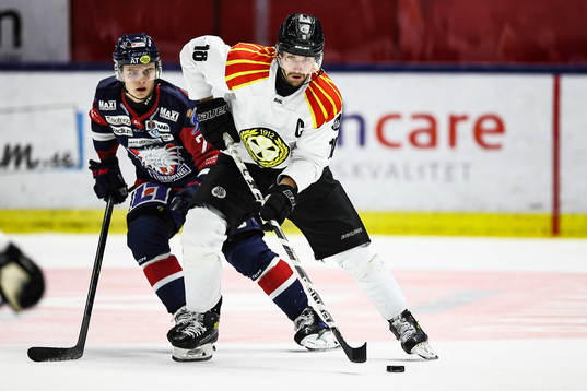Brynäs Anton Rödin