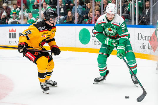 Luleås Joonas Rask och Rögles Adam Tambellini