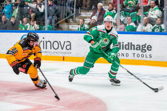 Luleås Joonas Rask och Rögles William Wallinder