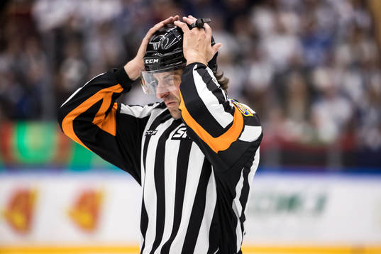 Domare Mikael Sjöqvist