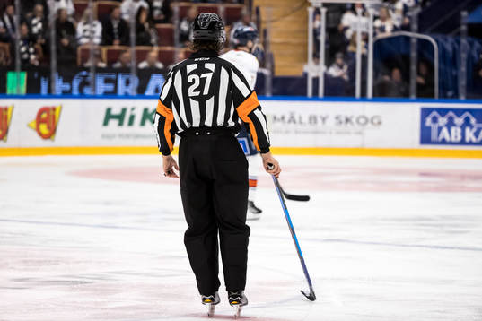 Domare Mikael Sjöqvist