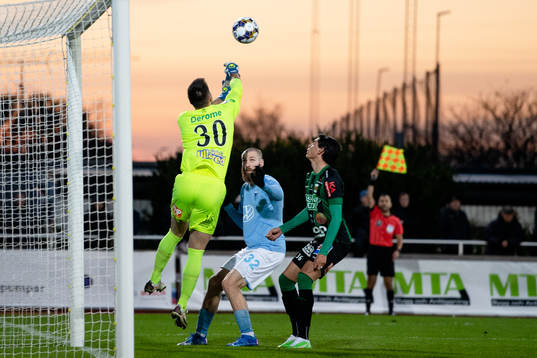 Varbergs målvakt Stojan Lukic