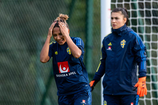 Madelen Janogy and goalkeeper Zecira Musovic of the Swedish