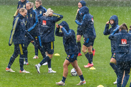 Magdalena Eriksson of the Swedish women's national football