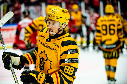 Skellefteås Jayce Hawryluk deppar