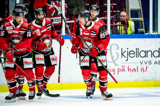 Malmö Redhawks Carl Persson jublar