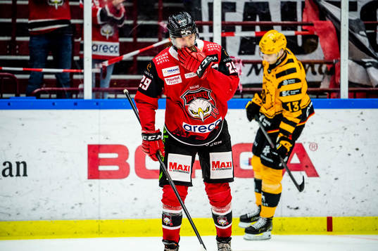 Malmö Redhawks Eric Engstrand deppar