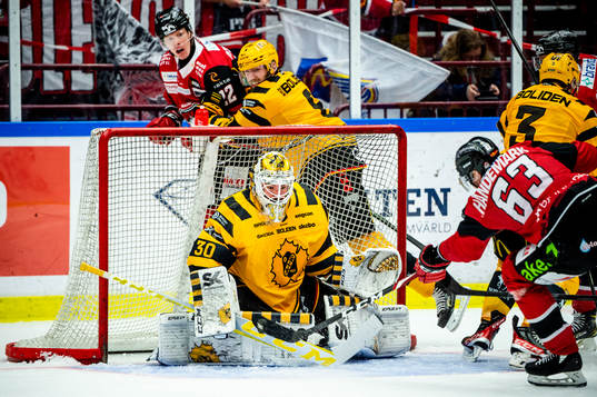 Malmö Redhawks Fredrik Händemark mot Skellefteås
