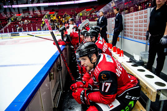 Malmö Redhawks Pathrik Westerholm deppar