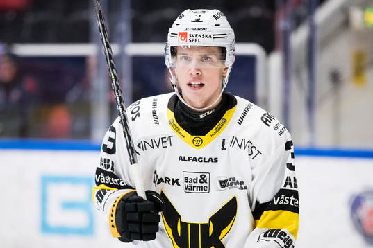 Västerås Ludvig Östman