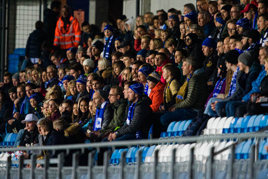 Spectators in the stands