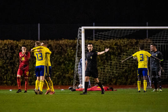 Sveriges spelare jublar