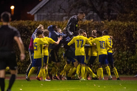 Sveriges spelare jublar