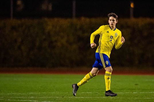 Sveriges Hannes Bladh Pijaca