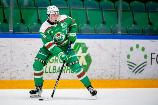 Rögles Viktor Smeds