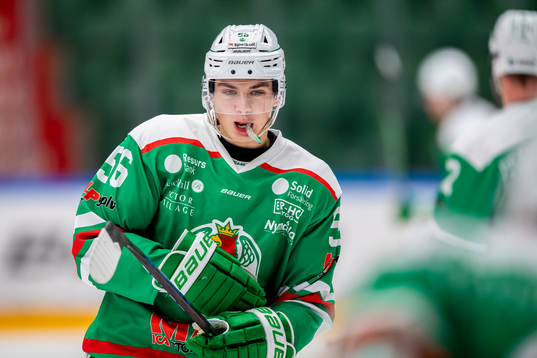 Rögles Nils Alm