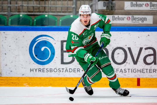 Rögles Andreas Torkelsson