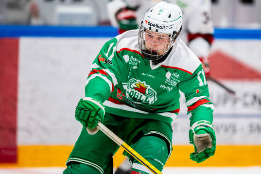 Rögles Lars Petter Eckholm