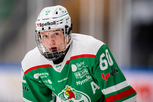 Rögles Viktor Smeds