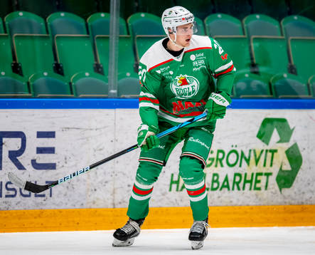 Rögles Andreas Torkelsson