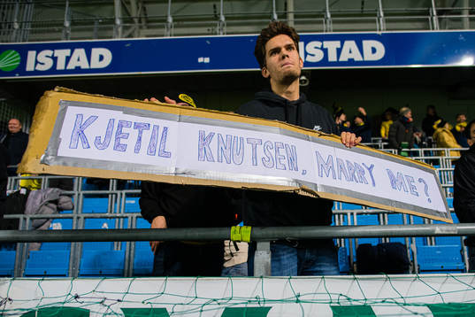 Spectator in the stands