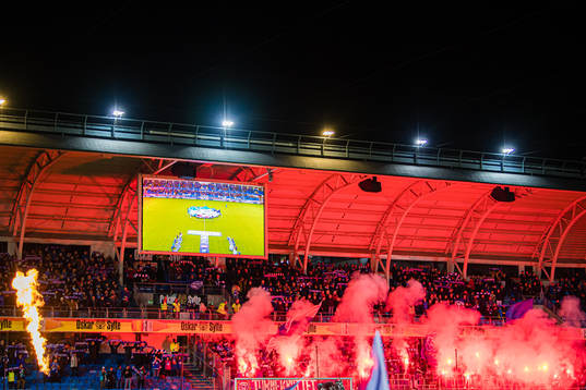 Spectators in the stands