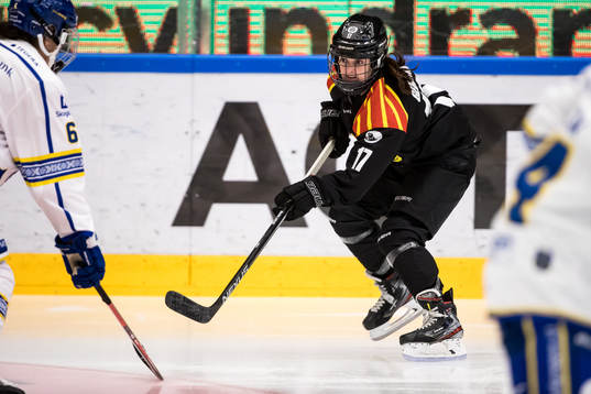 Brynäs Jaycee Gebhard