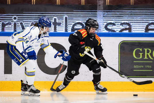 Leksands Payge Pena och  Brynäs Jaycee Gebhard