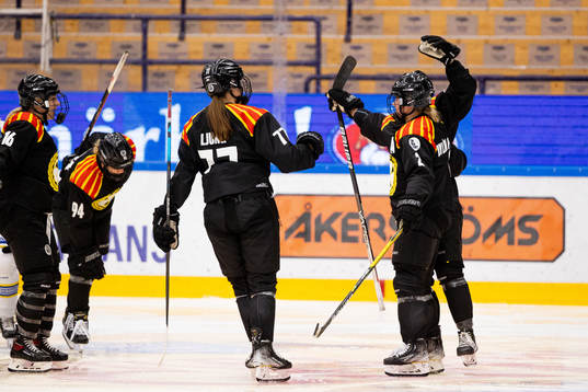 Brynäs spelare jublar