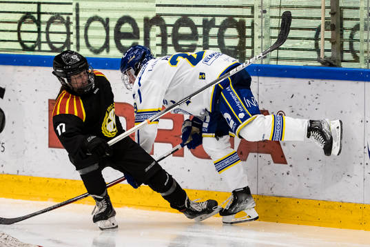 Brynäs Jaycee Gebhard och Leksands Paige Lindsey Agnew