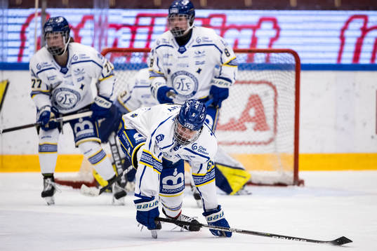 Leksands Gracen Hirschey