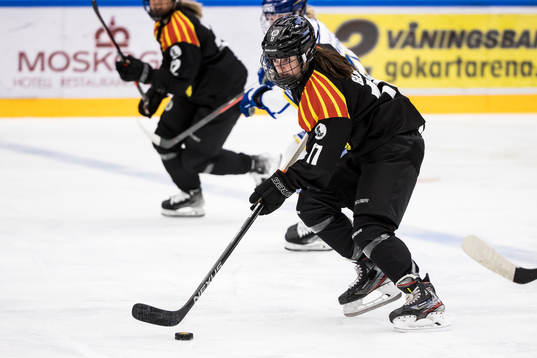 Brynäs Jaycee Gebhard