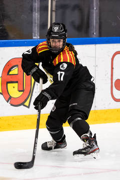 Brynäs Jaycee Gebhard