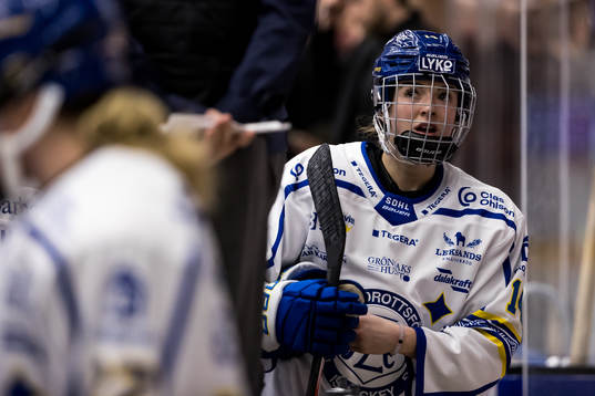 Leksands Payge Pena