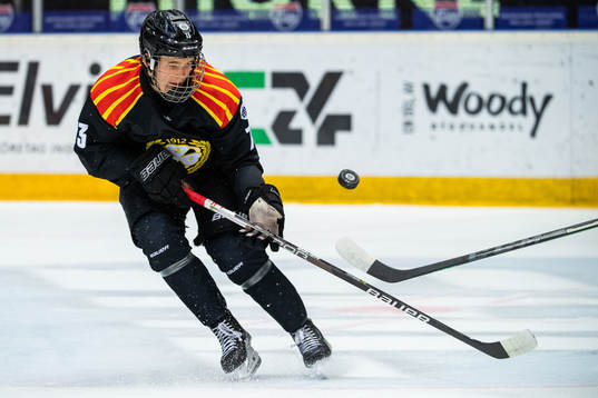 Brynäs Theo Lindstein