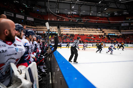 Linköpings och Brynäs spelare
