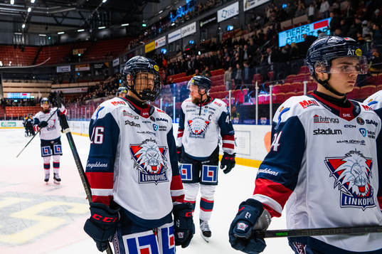 Linköpings Fabian Wagner deppar