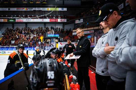 Brynäs tränare Mikko Manner