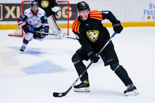 Brynäs Noel Gunler