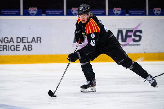 Brynäs Tom Hedberg