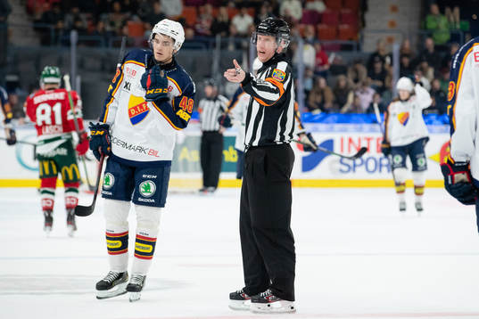 Domare Mikael Holm