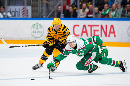 Skellefteås Oscar Möller och Rögles William Wallinder