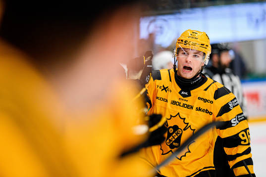 Skellefteås Rickard Hugg jublar