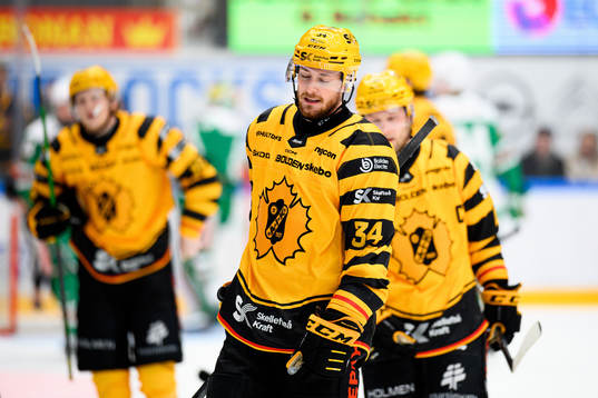 Skellefteås Tom Kühnhackl deppar