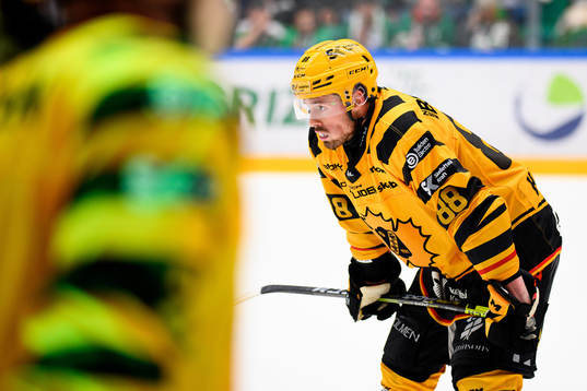 Skellefteås Jayce Hawryluk deppar