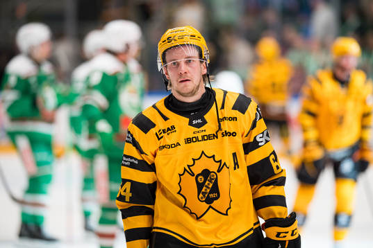 Skellefteås Jonathan Pudas deppar